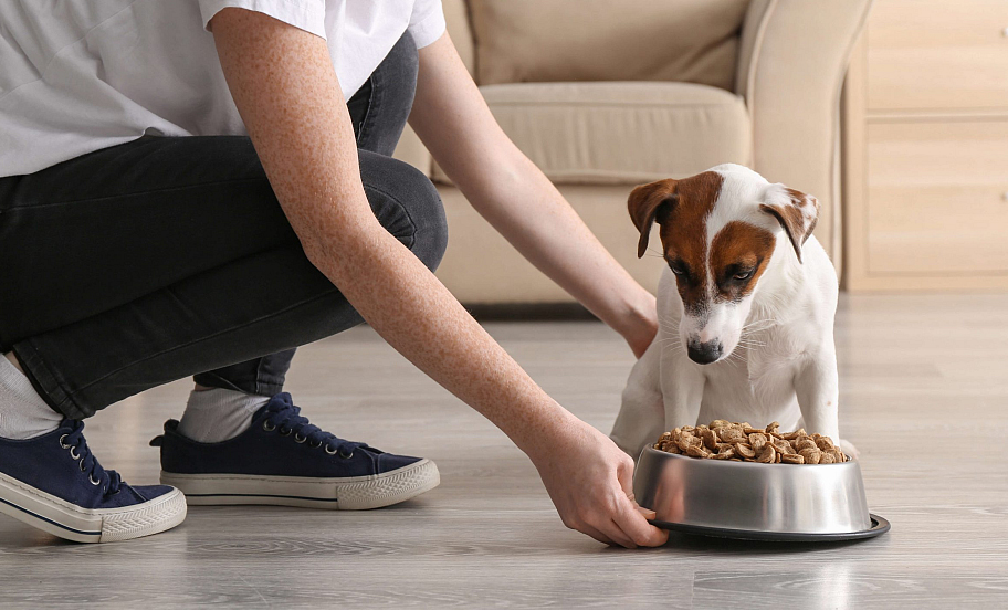 Petguru logo