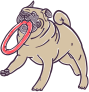 Petguru logo