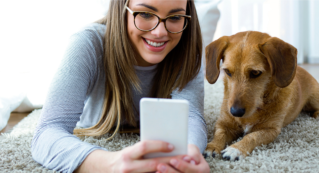 PetGuru logo